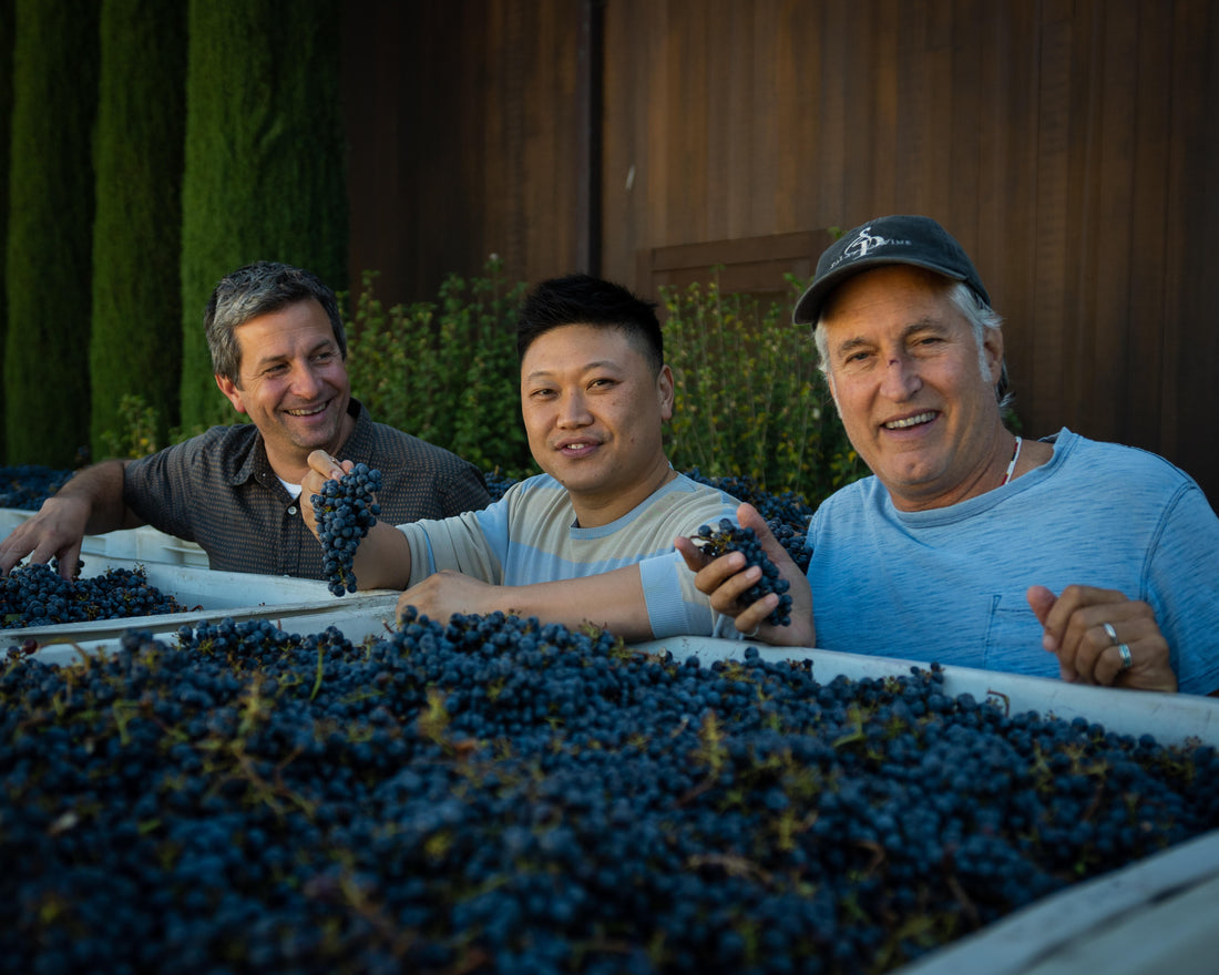 Magna Carta Cellars: The Origin Story