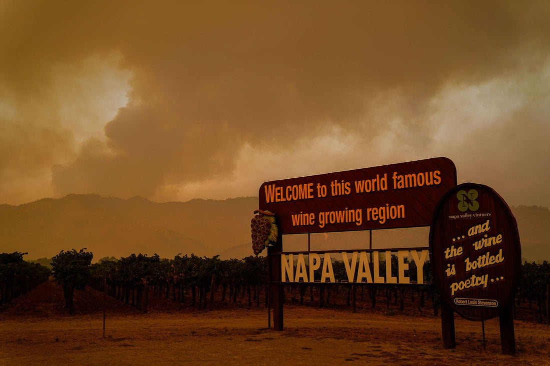 Myths vs. Facts: How Heat and Smoke Affect the Wines and Vines of Napa Valley