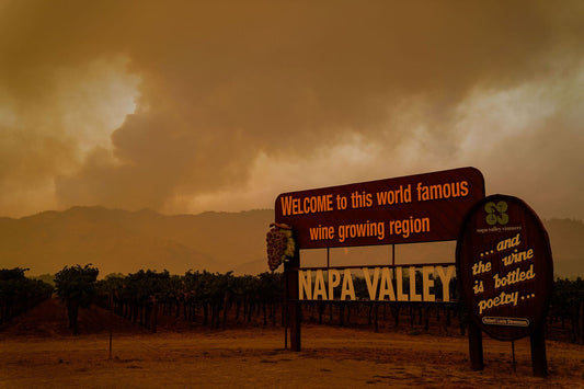 Myths vs. Facts: How Heat and Smoke Affect the Wines and Vines of Napa Valley