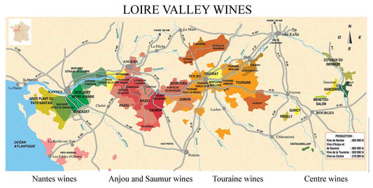 French Sauvignon Blanc: The Regions and Techniques That Make This Wine So Special
