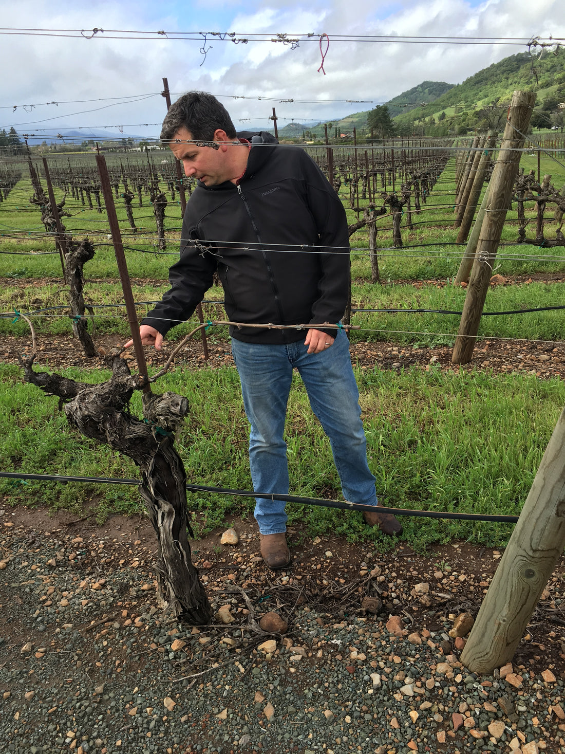 What Do Winemakers Do During The Summer?